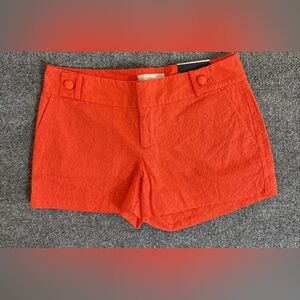 Linen High Waist Chinos Lightweight Summer Colorful shorts w/cuffed hem at thigh